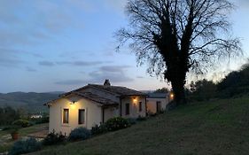 Il Nido Del Falco Nelle Antiche Mura